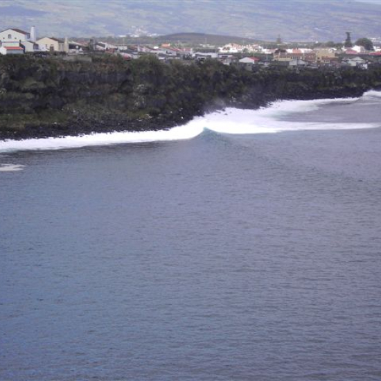 08-rabo.JPG