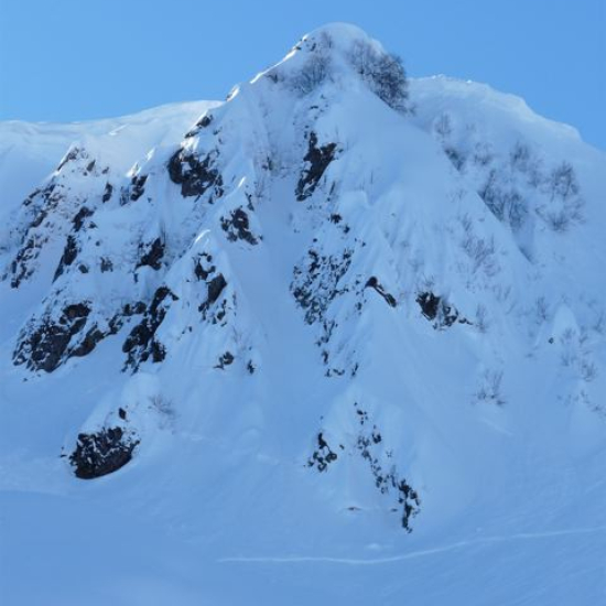 coloiur