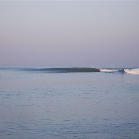 IMG 0010.JPG