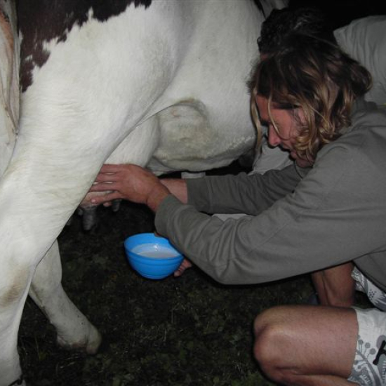 07-milk.JPG