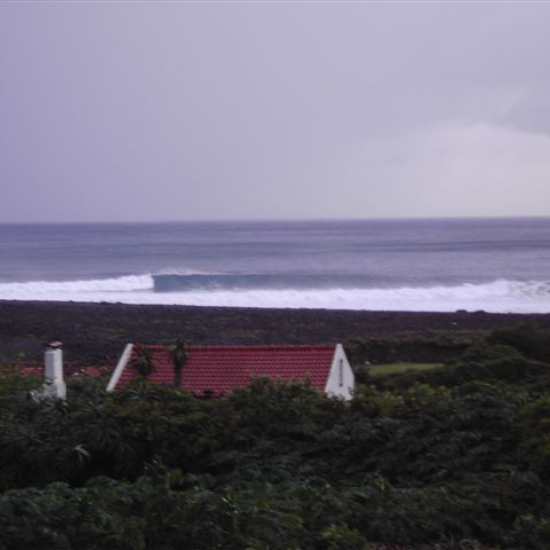 09-left.JPG