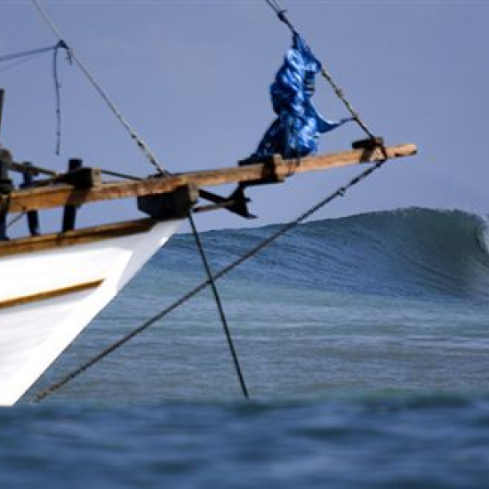 indo hp2 (5)